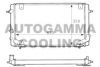 RENAU 7700795055 Radiator, engine cooling